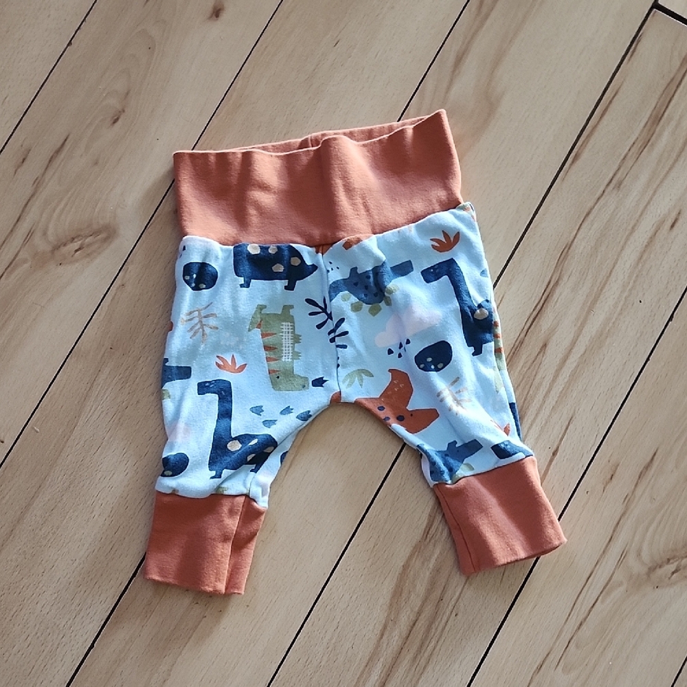 Dinosaur Print Kids Bottoms